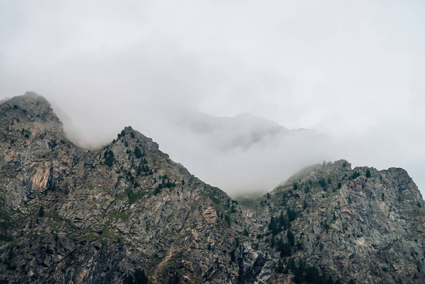 Upiory gigantyczne skały z drzewami w gęstej mgle. Tajemnicza ogromna Góra w mgle. Wczesnym rankiem w górach. Nieprzeniwny mgły. Ciemne, nastrojowe krajobrazy. Spokojna mistyczna atmosfera dzikiej przyrody. - Zdjęcie, obraz