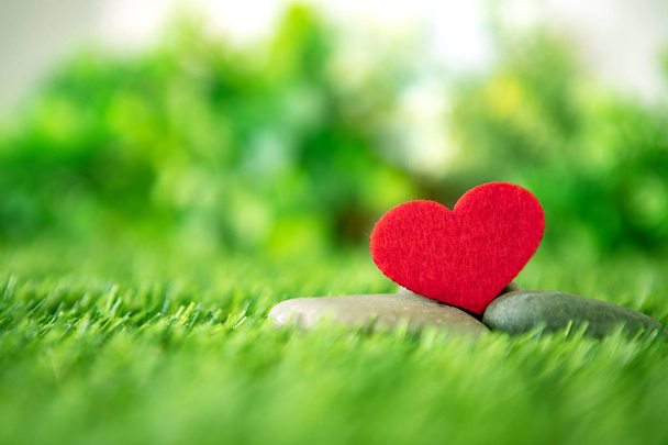 közelről piros szív alakú, zöld, friss fű, jó pihenést és l - Fotó, kép