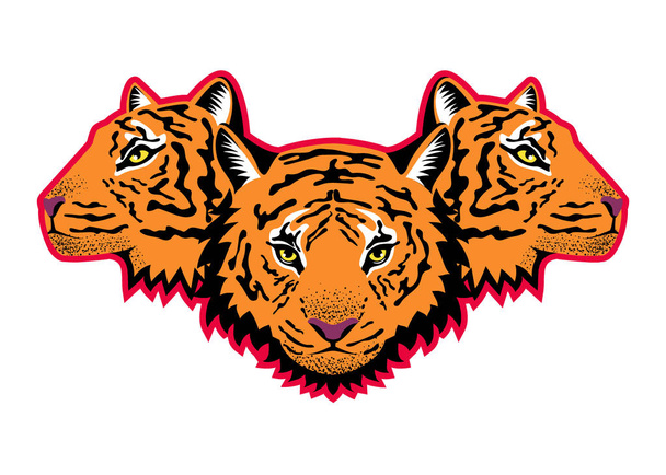 La imagen de un tigre para imprimir en camisetas y para su diseño. Vector
. - Vector, imagen