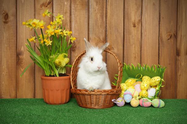 Пасхальный кролик в плетеной корзине с яйцами и цветами
 - Фото, изображение