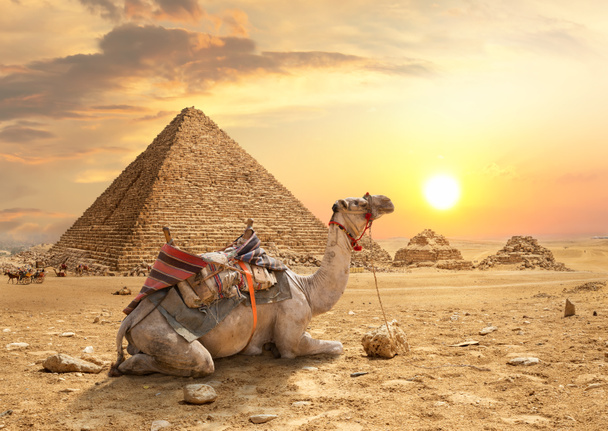 Gizan pyramidit
  - Valokuva, kuva