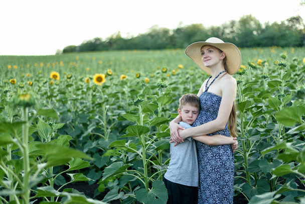 Filho pequeno triste abraça mãe grávida em pé em um campo de girassóis florescendo
 - Foto, Imagem