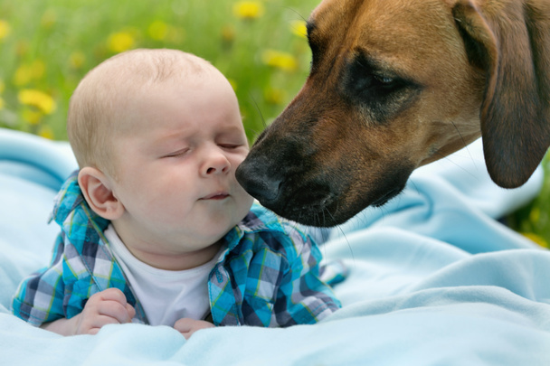 Bebé y perro
 - Foto, Imagen