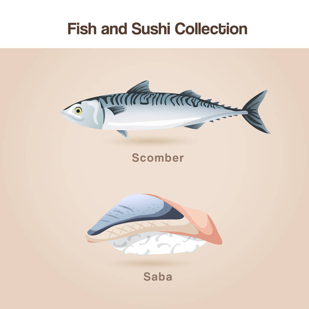 Fish and sushi set : Vector Illustration - Vetor, Imagem
