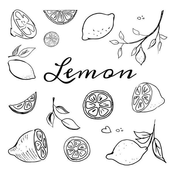Hand getrokken vruchten citroen instellen vector illustratie geïsoleerd op witte achtergrond. Hele, delen, bladeren en brunches schets stijl collectie - Vector, afbeelding