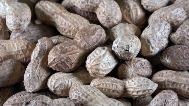 Organic raw unroasted in shell peanuts close up filming video - Séquence, vidéo