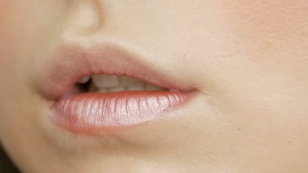 メイクアップアーティストは、メイクアップガールモデルを作ります。唇のクローズアップビューに特別なブラシで適用される口紅のライトシェード - 映像、動画