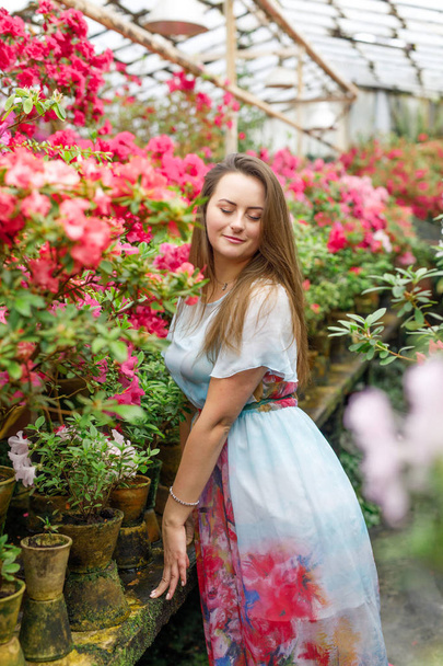 beautiful girl in a pink dress in the park - Zdjęcie, obraz