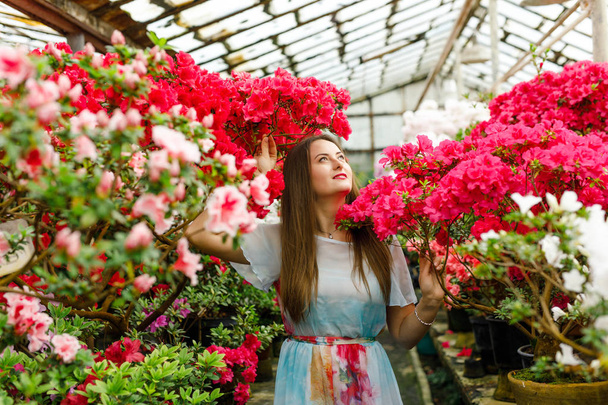 beautiful young woman in a flower shop - Foto, afbeelding