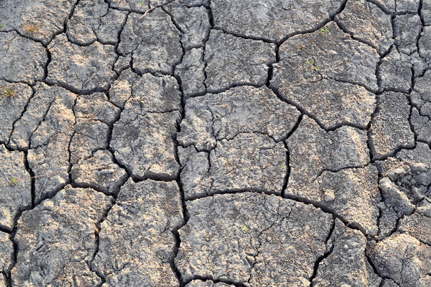 Halkeamia maassa. Kuiva, kuivattu maaperä. Kuivuus. Ekologinen katastrofi
 - Valokuva, kuva