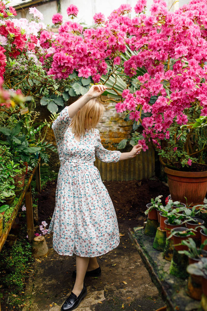 portrait of a beautiful young woman in a summer garden - Fotografie, Obrázek