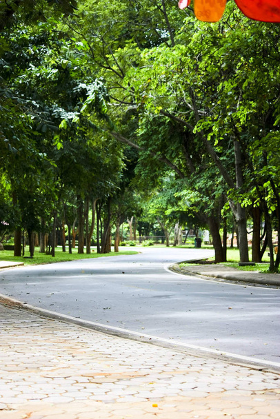 Road in green park - Foto, afbeelding