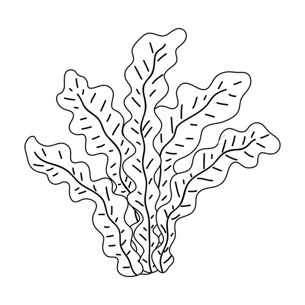 Glony wodorosty natura ikona - Wektor, obraz