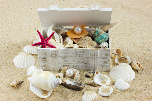 shells on sand. starfish. treasure - Foto, Imagem