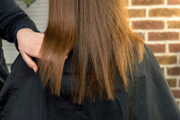 Gyönyörű hosszú, barna hajú lány után hajvágás - Fotó, kép