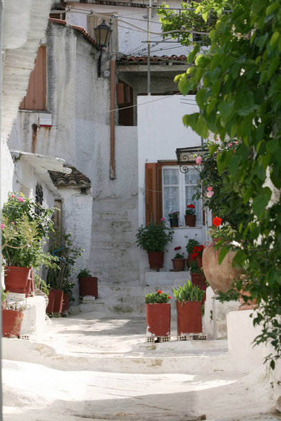 traditional white old style greek houses with flowerpots in spring - Φωτογραφία, εικόνα