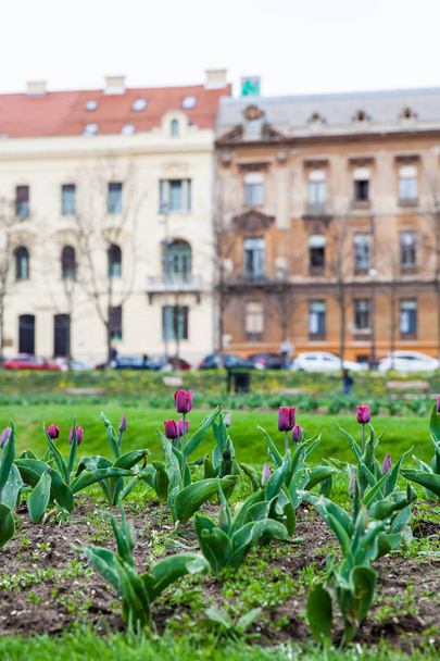 Blick auf die schönen Parks und die Architektur der Unterstadt in Zagreb - Foto, Bild