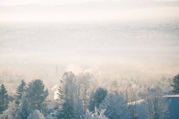 A beautiful winter landscape in Norway. Snowy scenery. Scandinavian winter. - Fotografie, Obrázek