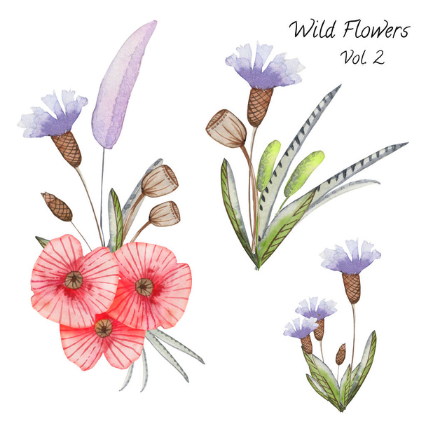 Set of watercolor flower compositions on a white background - Photo, Image