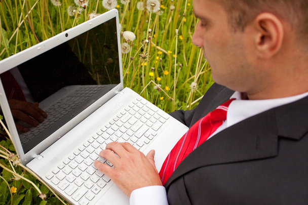 biznesmen ustanawiające na zielonej trawie, przy pomocy pewien laptop - Zdjęcie, obraz