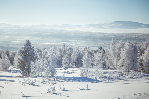Norveç'te güzel bir kış manzarası. Karlı manzara. İskandinav kışı. - Fotoğraf, Görsel
