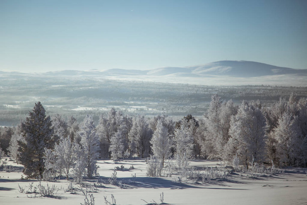 A beautiful winter landscape in Norway. Snowy scenery. Scandinavian winter. - Foto, afbeelding