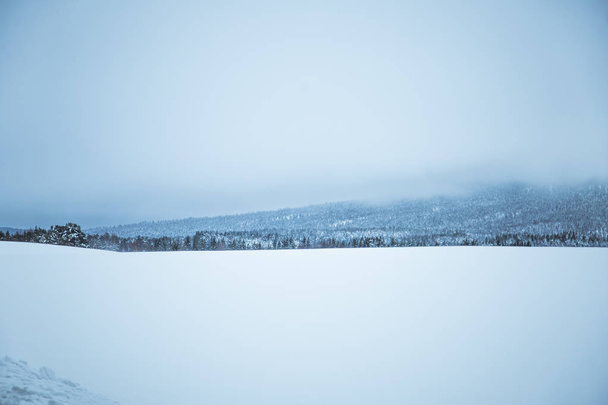 Ένα όμορφο χειμερινό τοπίο στη Νορβηγία. Χιονισμένο σκηνικό. Σκανδιναβικό χειμώνα. - Φωτογραφία, εικόνα