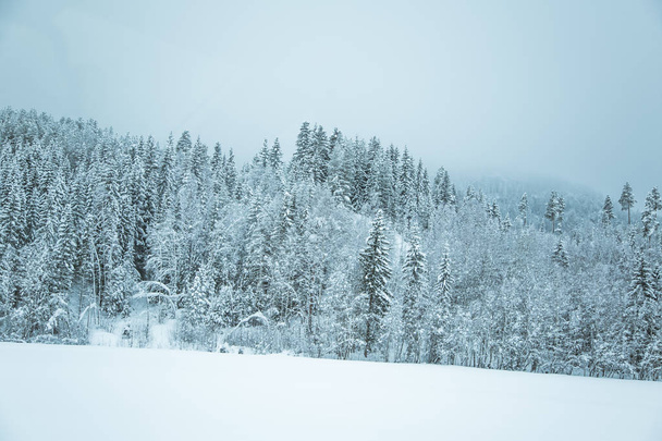 A beautiful winter landscape in Norway. Snowy scenery. Scandinavian winter. - Valokuva, kuva