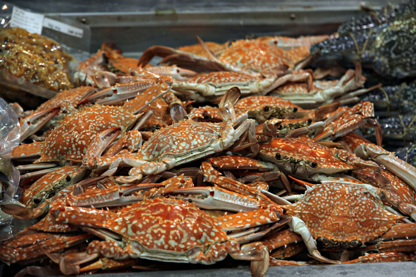 Crabes sortis du four
. - Photo, image