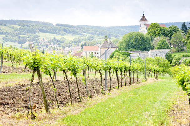 Виноградники Австрии
 - Фото, изображение