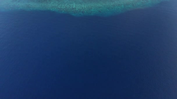 Aérea: volando sobre la isla tropical Hatta playa de arena blanca Islas Banda Maluku Indonesia exuberante bosque verde turquesa agua arrecife de coral destino turístico escénico. Perfil de color D-log cinelike nativo
 - Metraje, vídeo