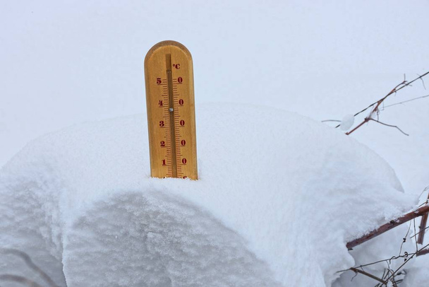 Brown wooden thermometer in the snowdrift of snow in the branches of plants in the winter garden - Foto, imagen