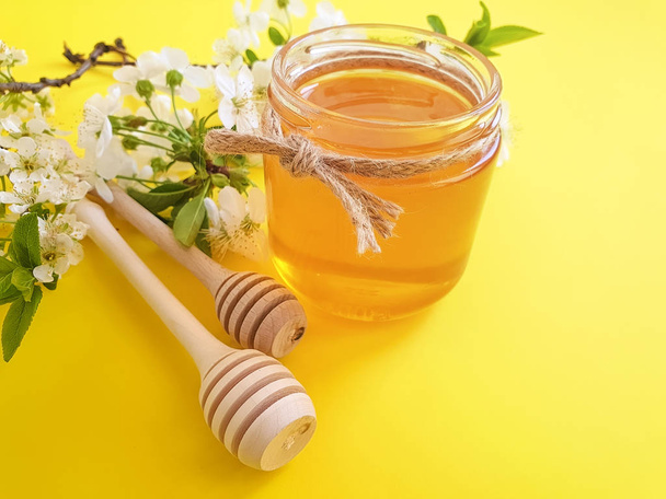 honey, blooming cherry on a yellow background - Foto, Bild