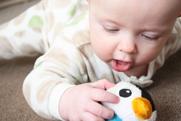 A baby playing on a brown carpeted floor with a penguin-shaped toy. - Foto, Bild