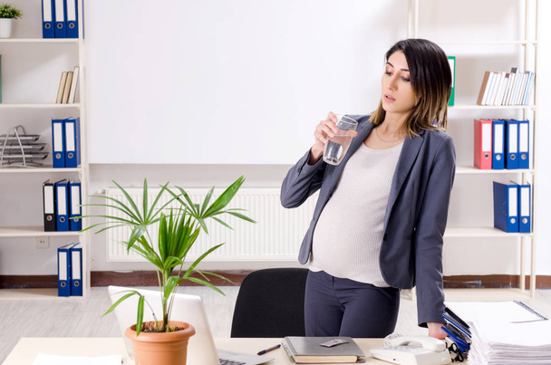 Young pregnant employee working in the office  - Фото, зображення