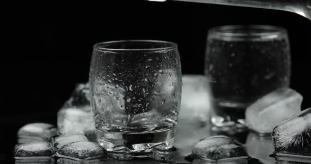 Verter un trago de vodka de una botella en un vaso. Fondo negro
 - Imágenes, Vídeo