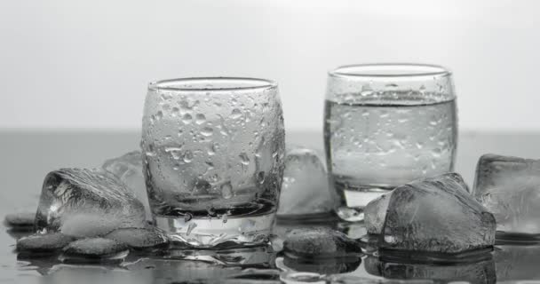 Verter un trago de vodka de una botella en un vaso. Fondo blanco
 - Imágenes, Vídeo