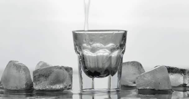 Een shot van wodka van een fles in glas gieten. Witte achtergrond - Video