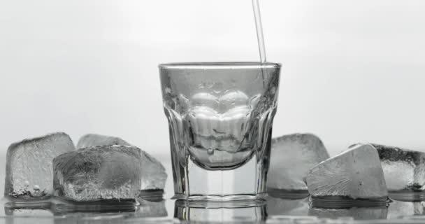 Pouring up shot of vodka from a bottle into glass. White background - Footage, Video