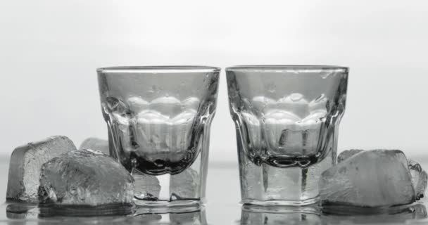 Versare due bicchierini di vodka da una bottiglia in un bicchiere. Fondo bianco
 - Filmati, video