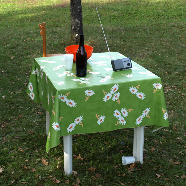 Picnic in the park - Photo, Image