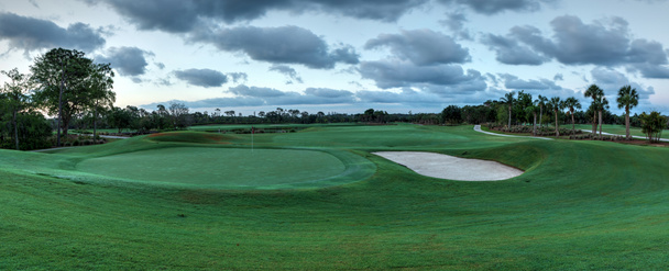 Пышная зеленая трава на поле для гольфа с дорожкой для гольфа
 - Фото, изображение