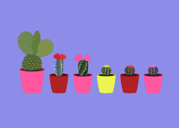 cactus - Vetor, Imagem