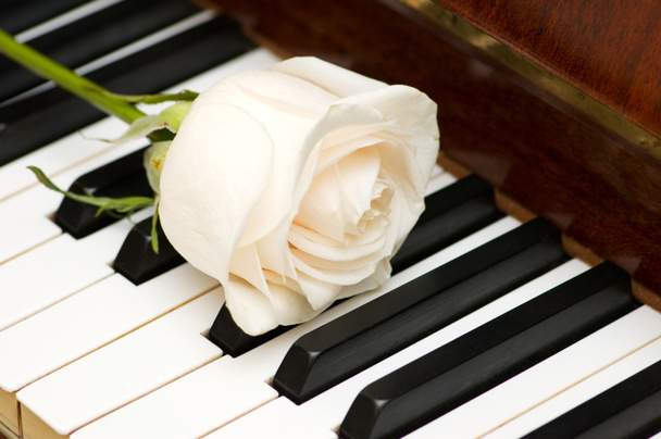 Romantic concept - rose on piano - Φωτογραφία, εικόνα