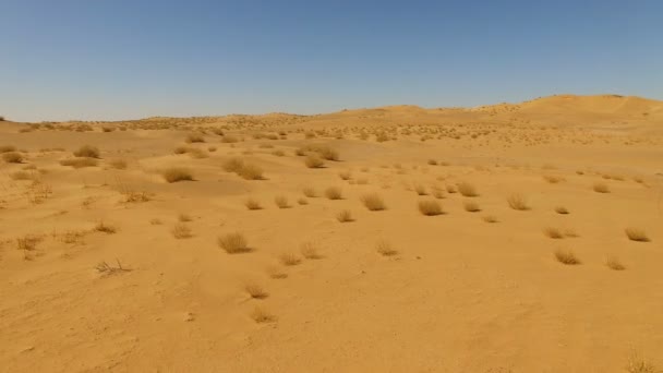 Coche que cruza el desierto, Xinjiang, China
. - Imágenes, Vídeo