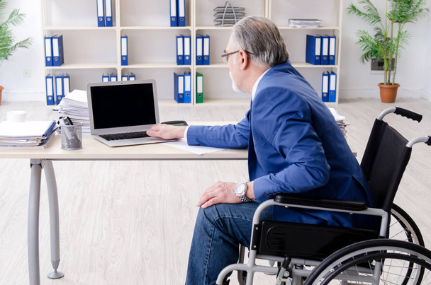 Aged employee in wheelchair working in the office  - Photo, Image