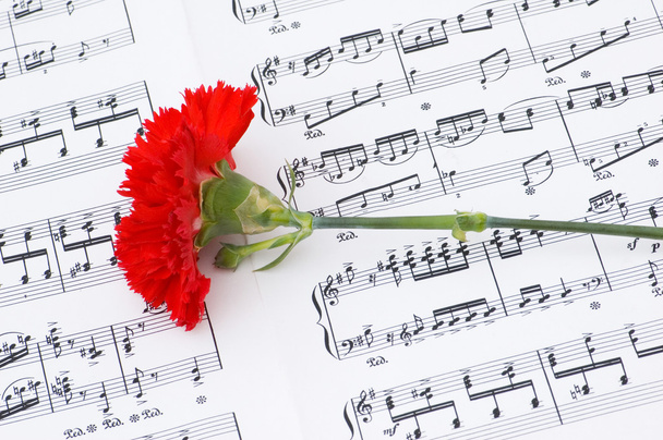 κόκκινο λουλούδι γαρίφαλων σε σημειώσεις - Φωτογραφία, εικόνα
