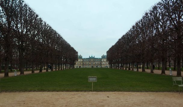 Παλάτι του Λουξεμβούργου μεταξύ των δέντρων - Φωτογραφία, εικόνα