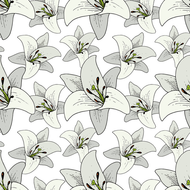 Vector Lily Floral botanical flower. Black and white engraved ink art. Seamless background pattern. - Vetor, Imagem