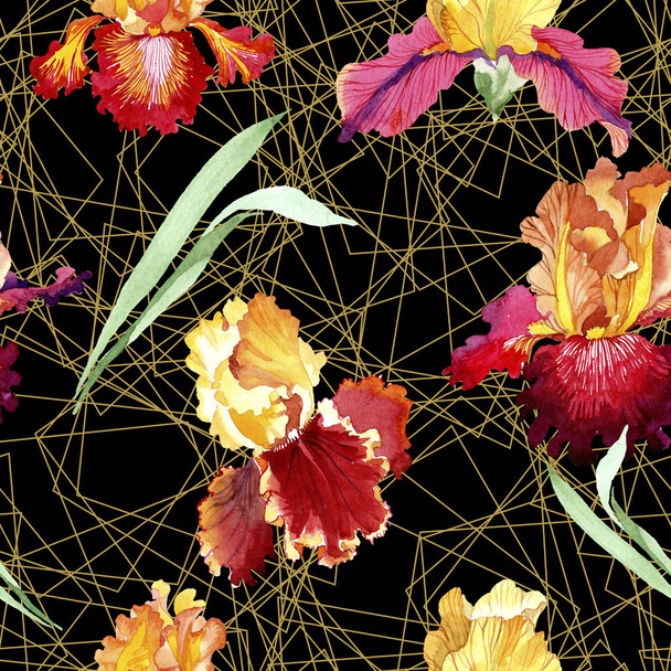 Ο κόκκινος τολμηρός συναντά την ίριδα λουλουδιών βοτανικά. Σύνολο εικονογράφησης φόντου. Ομαλή μοτίβο φόντου. - Φωτογραφία, εικόνα